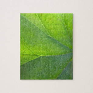 Puzzle feuille
