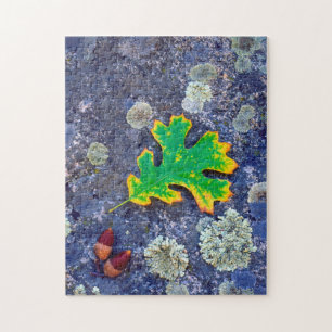 Puzzle Feuille de chêne et glands sur une roche couverte 