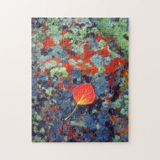 Puzzle Feuille de tremble sur une roche couverte de liche (Vertical)