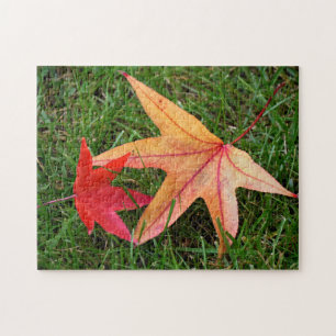 Puzzle Feuille d'érable aux couleurs vives