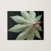 Puzzle Feuille et tige (Horizontal)