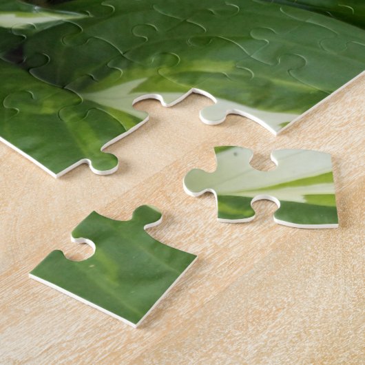 Puzzle Feuille Hosta (Côté)