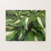 Puzzle Feuille Hosta (Horizontal)