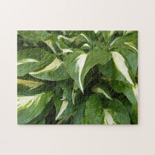 Puzzle Feuille Hosta (Horizontal)