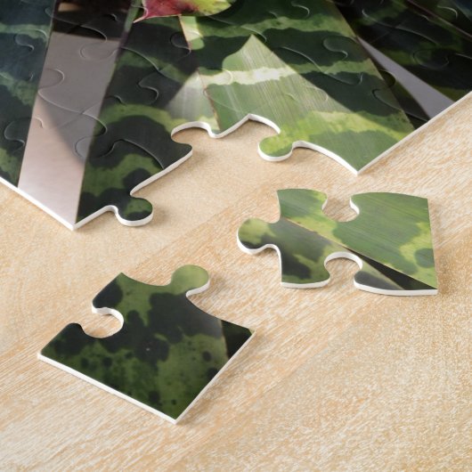 Puzzle Feuille rayé d'usine de Vriesea Splendens (Côté)