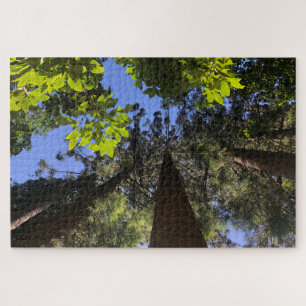 Puzzle feuille supérieur