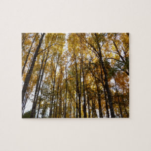 Puzzle Feuilles d'automne au matin Maryland Nature