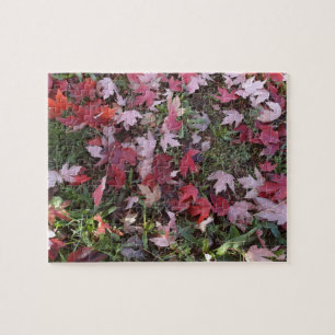 Puzzle Feuilles d'automne colorées