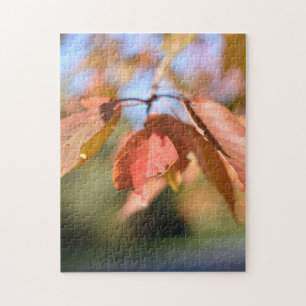 Puzzle Feuilles d'automne dans Regent's Park Londres Angl