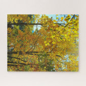 Puzzle Feuilles d'automne des arbres d'Aspen (Horizontal)