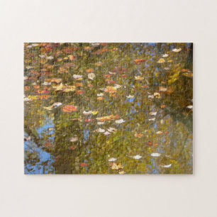 Puzzle Feuilles d'automne et réflexion sur le cours d'eau