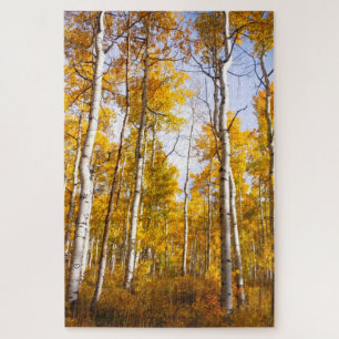 Puzzle Feuilles d'automne jaunes d'Aspen Groove