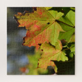 Puzzle Feuilles de chute colorées (Horizontal)