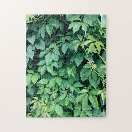 Puzzle Feuilles de raisins verts (Vertical)