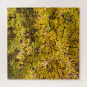 Puzzle Feuilles d'or de l'automne - 20x20 pouces (Horizontal)