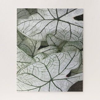 Puzzle Feuilles du Caladium blanc vert