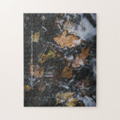 Puzzle Feuilles et glands d'automne dans des eaux mystéri (Vertical)
