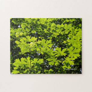 Puzzle Feuilles Mouchetées de Soleil dans la Forêt