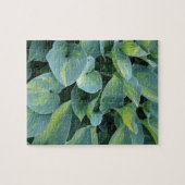 Puzzle Feuilles plantes verdoyants (Horizontal)