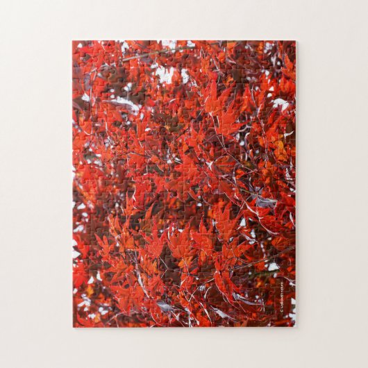 Puzzle Feuilles Red Maple (Vertical)