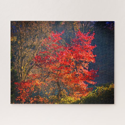 Puzzle Feuilles rouges (Horizontal)