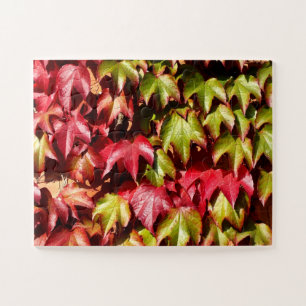 Puzzle Feuilles rouges et verts naturels