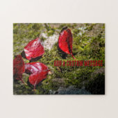 Puzzle Feuilles Rouges sur un Rocher (Horizontal)