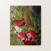 Puzzle Feuilles Rouges sur un Rocher (Vertical)