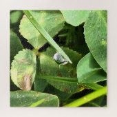 Puzzle Feuilles Vertes Roumanie - Art mural de feuillage (Horizontal)