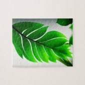 Puzzle Feuilles verts (Horizontal)