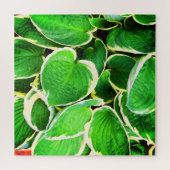 Puzzle Feuilles verts d'un plante Hosta (Horizontal)