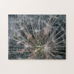 Puzzle Feux d'artifice de pissenlit