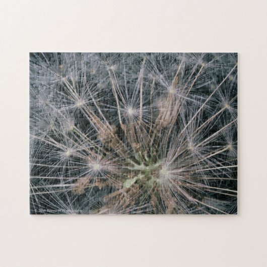 Puzzle Feux d'artifice de pissenlit (Horizontal)
