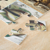 Puzzle Fiche technique sur la forêt, la jungle et l'océan (Côté)