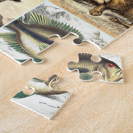 Puzzle Fiche technique sur la forêt, la jungle et l'océan (Côté)