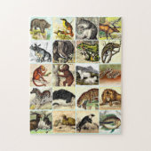 Puzzle Fiche technique sur la forêt, la jungle et l'océan (Vertical)