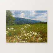 Puzzle Fields of Daisies Tennessee. (Horizontal)