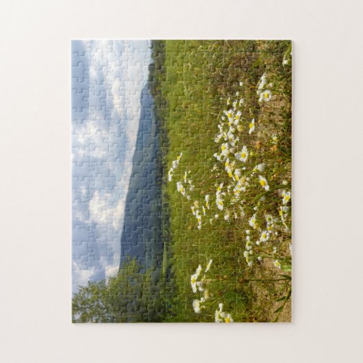 Puzzle Fields of Daisies Tennessee. (Vertical)