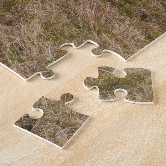 Puzzle Fier debout de la ceinture Galloway sur Dartmoor F (Côté)