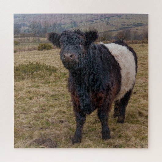Puzzle Fier debout de la ceinture Galloway sur Dartmoor F (Vertical)
