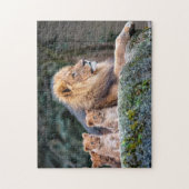 Puzzle Fierté de lion (Vertical)