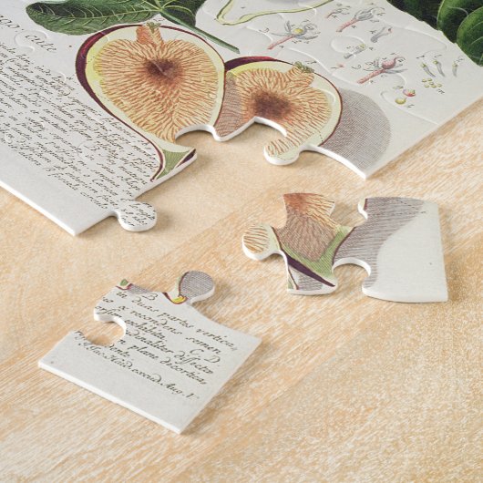 Puzzle Figue, gravée par 1704-67) plats de Johann Jakob (Côté)