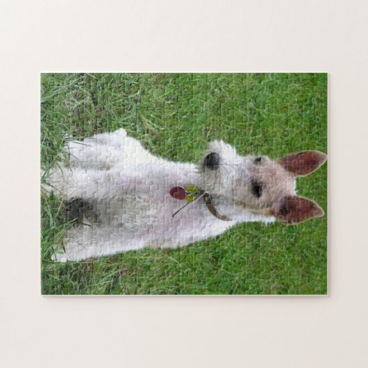 Puzzle fil fox terrier assis (Horizontal)