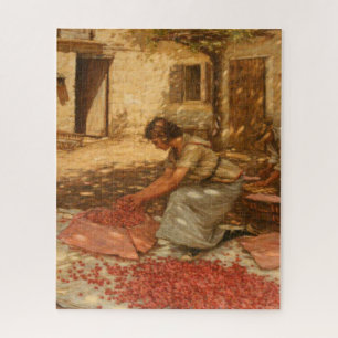 Puzzle Fille Emballage Cerises en Provence (France)