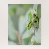 Puzzle Fin européenne verte de grenouille d'arbre (Vertical)