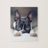 Puzzle Fina Boston Terrier (Vertical)
