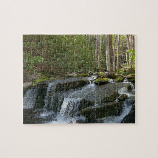 Puzzle Findlay Falls II (Horizontal)