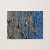 Puzzle First goose to fly, geese on lake Arrowhead (Horizontal)