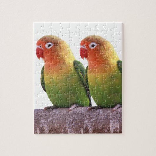 Puzzle "Fischer's Lovebird"の 優 製 (Vertical)