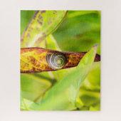 Puzzle fixation calme (Vertical)